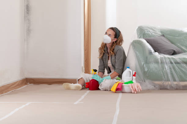Reliable Commercial Mold Remediation contractor in Gap, PA by WQB Mold Removal